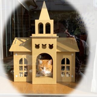 教会風猫ハウスから猫が顔を出している